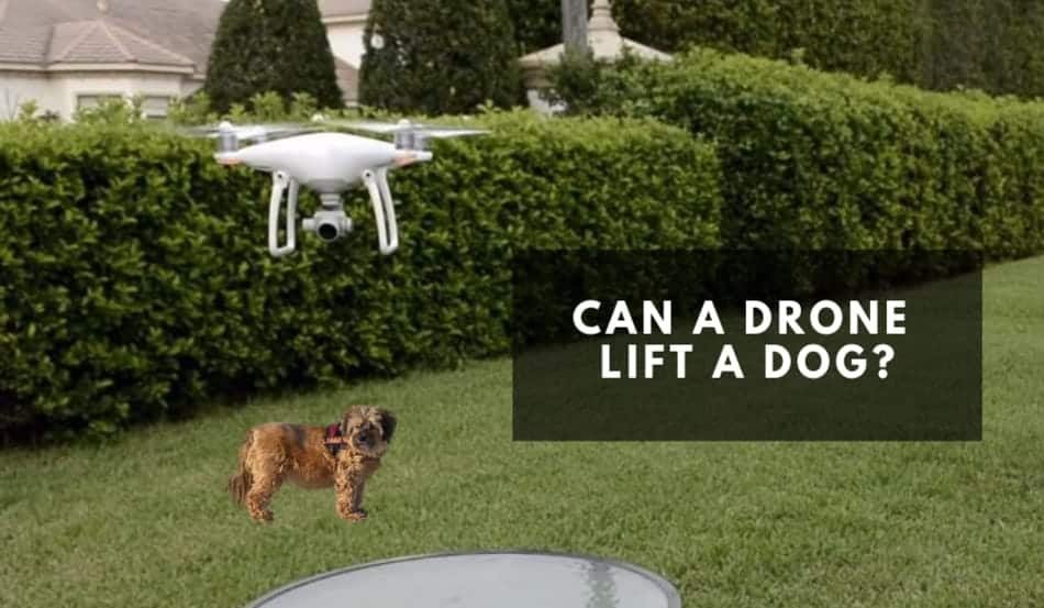 Can a drone lift a dog